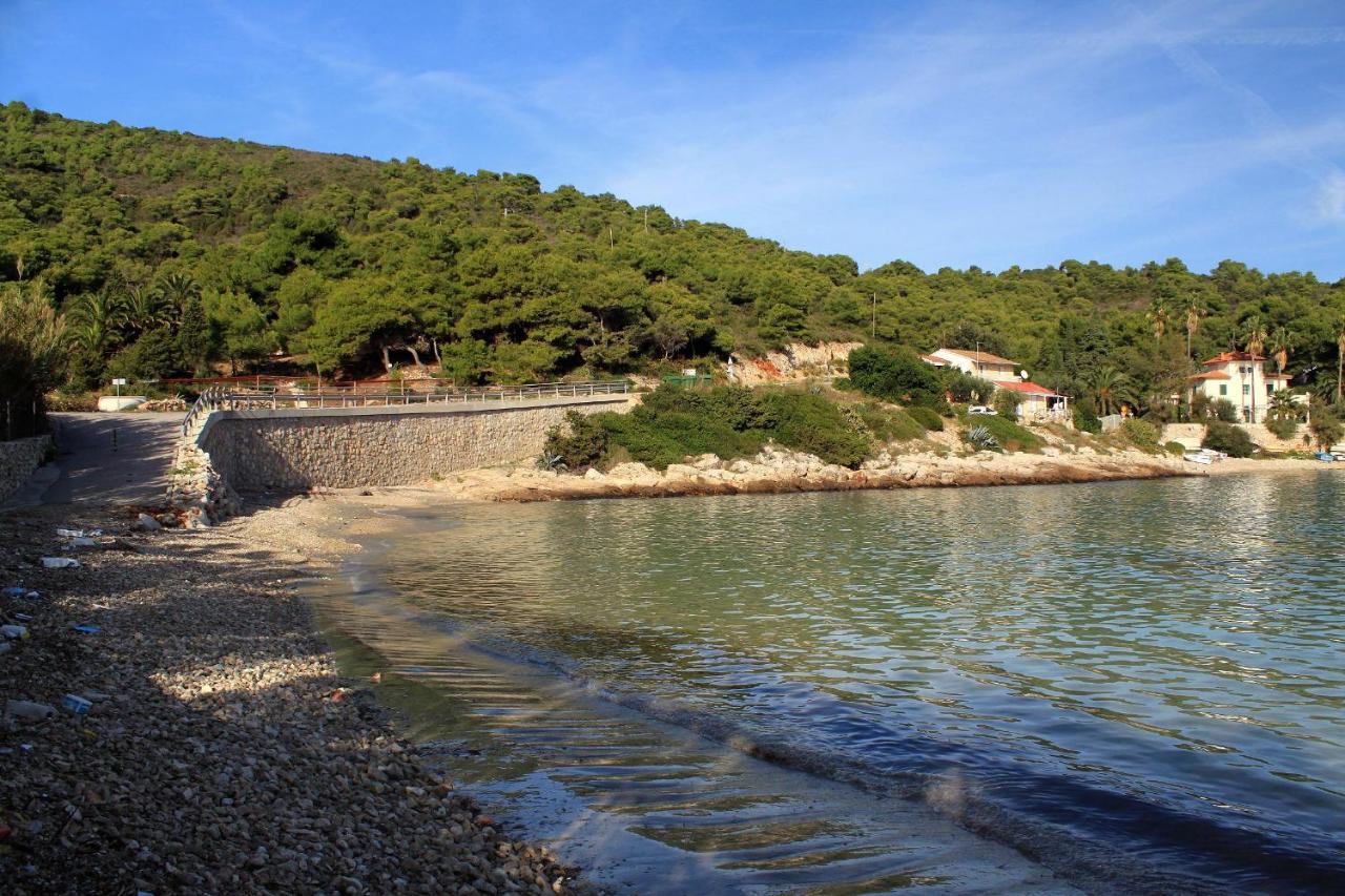 Apartments By The Sea Milna, Vis - 8913 Bagian luar foto