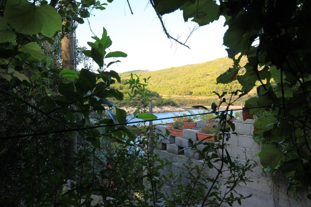 Apartments By The Sea Milna, Vis - 8913 Bagian luar foto