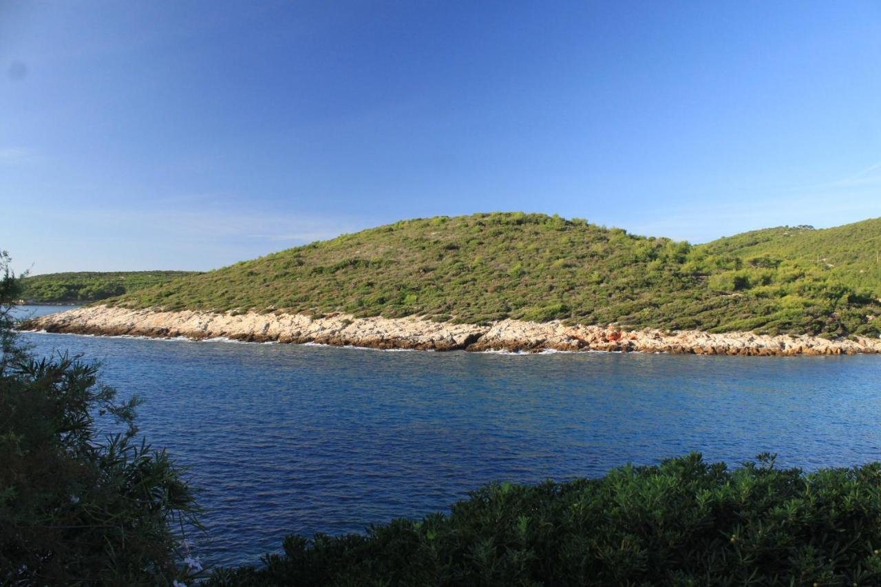 Apartments By The Sea Milna, Vis - 8913 Bagian luar foto